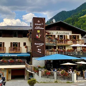 Les Ancolies à 3* Arèches
